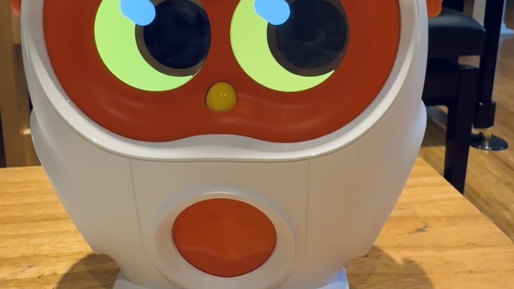 Luka, der Vorleseroboter