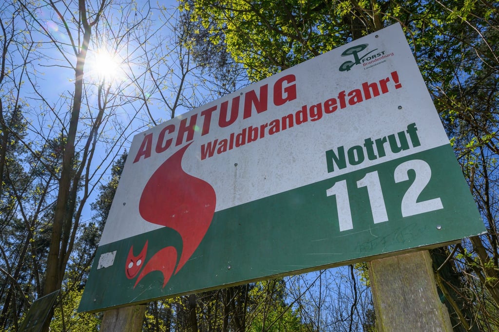 Sommer, Sonne und trockenes Wetter - auch das Waldbrandrisiko steigt wieder. (Archivbild)