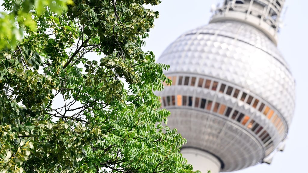Der Juli war in Berlin ungewöhnlich nass.
