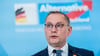 Die AfD lehnt Waffenlieferungen in Krisen- und Kriegsgebieten grundsätzlich ab.