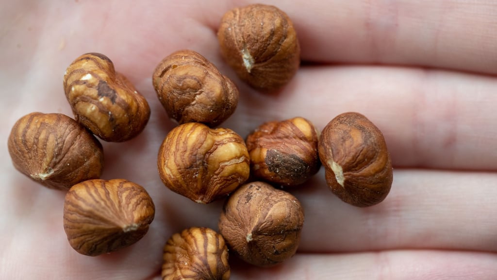 Haselnüsse wachsen auch in Deutschland, kommen aber vor allem aus der Türkei. (Illustration)