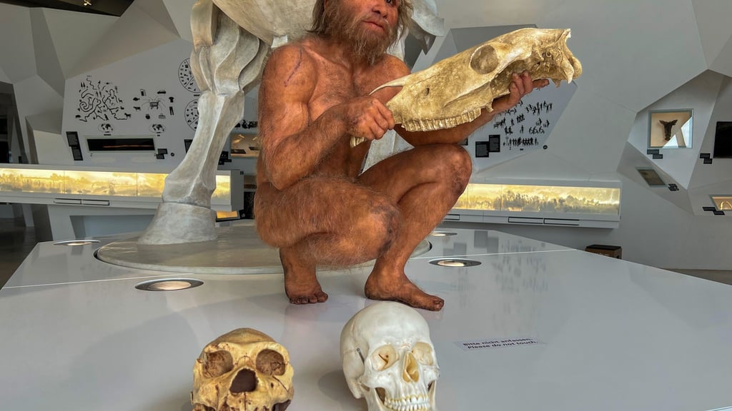 Auf Tuchfühlung mit der Urzeit: Die detailgetreue Wachsfigur eines Homo heidelbergensis im Forschungsmuseum „paläon“ gibt Einblicke in das Leben unserer frühen Vorfahren.