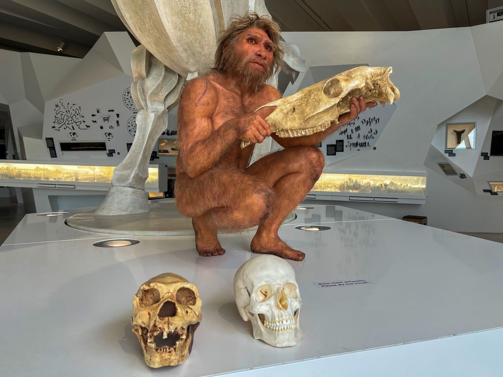 Auf Tuchfühlung mit der Urzeit: Die detailgetreue Wachsfigur eines Homo heidelbergensis im Forschungsmuseum „paläon“ gibt Einblicke in das Leben unserer frühen Vorfahren.