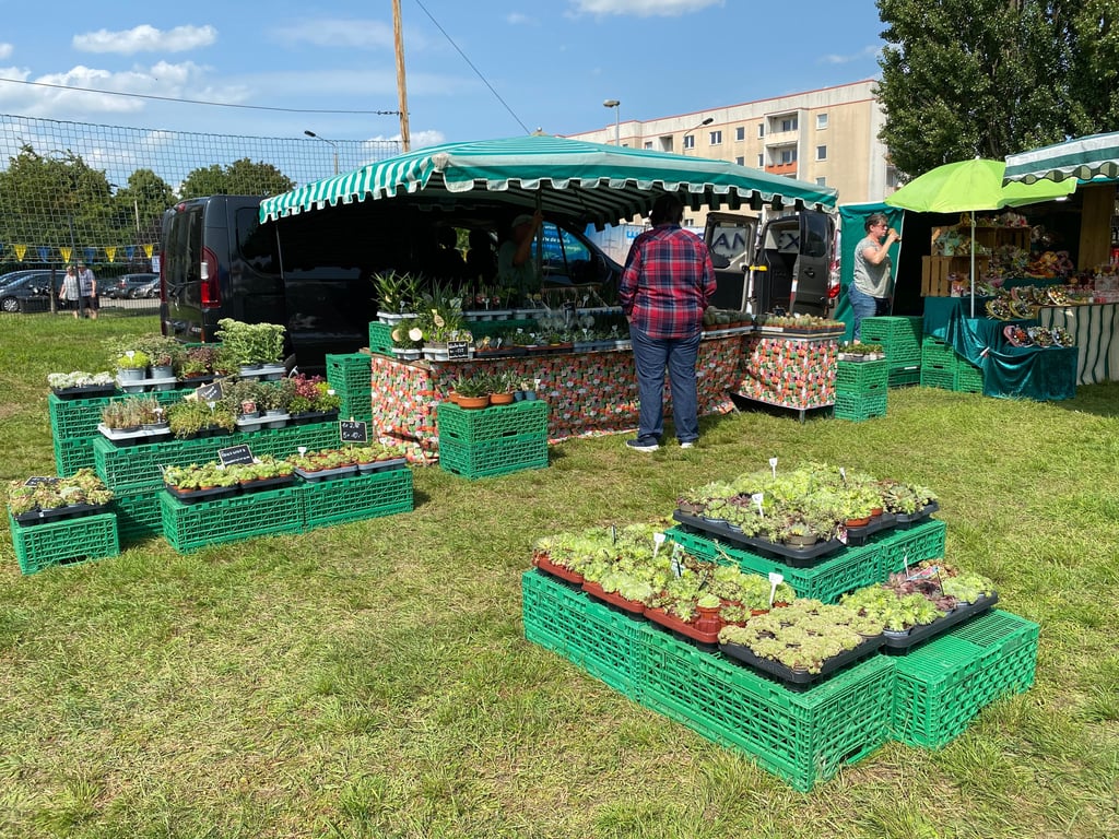 22 Stände haben sich beim Flohmarkt angemeldet.