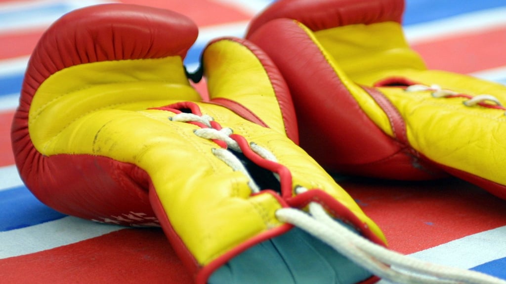 Der japanische Boxsport trauert um zwei Athleten.