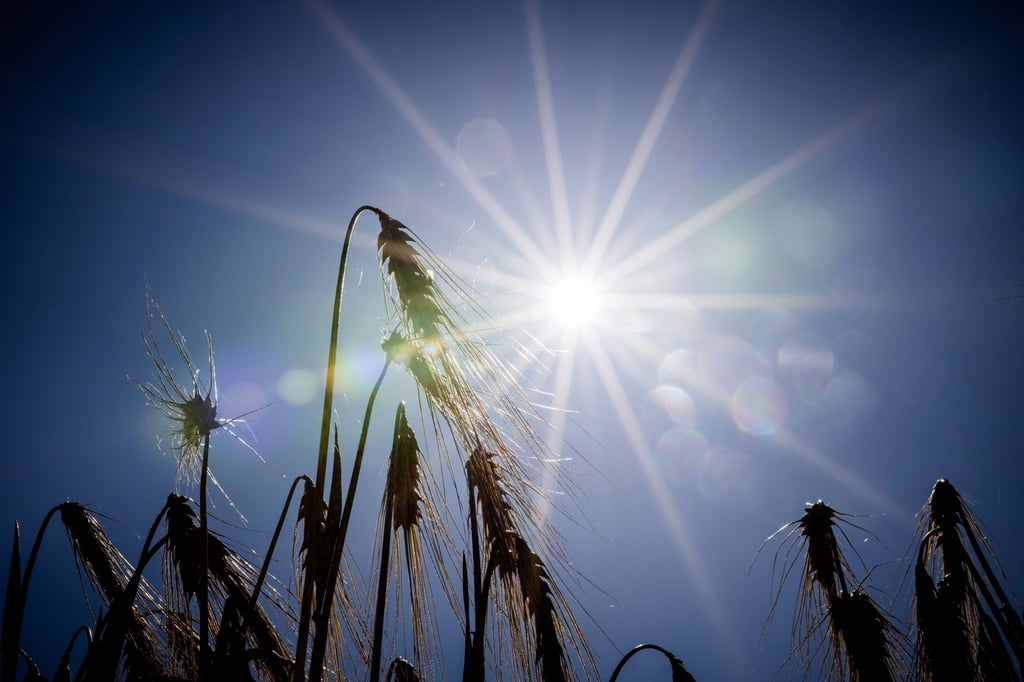 Sonnige Aussichten für Berlin und Brandenburg. (Symbolbild)