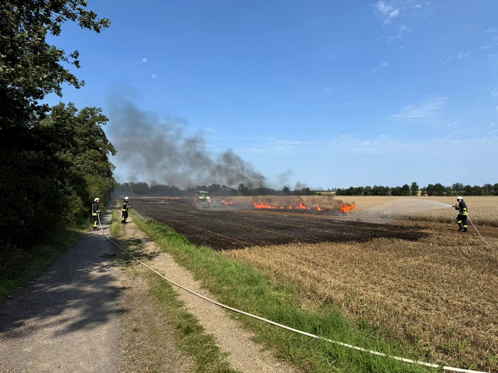 Am Sonnabend (9. August) steht nahe Schora ein Feld in Flammen.