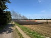 Am Sonnabend (9. August) steht nahe Schora ein Feld in Flammen. 