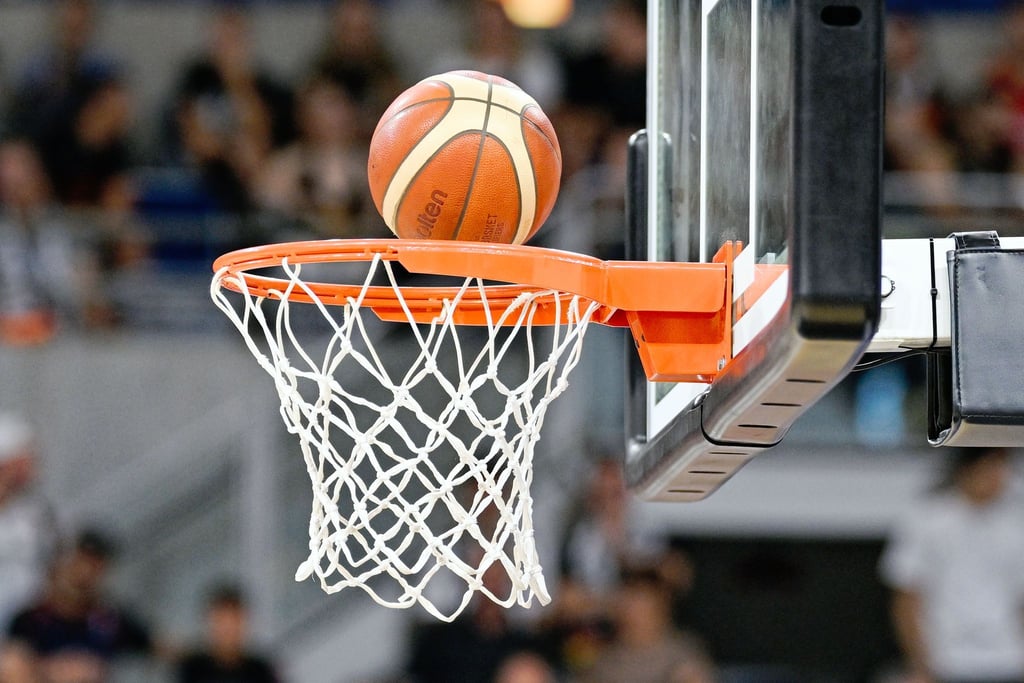 Die Basketball Löwen Braunschweig kommen mit der Kaderplanung voran.