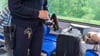 Eine Fahrkartenkontrolle im Zug nach Stendal führte die Polizei zu einem Dieb.
