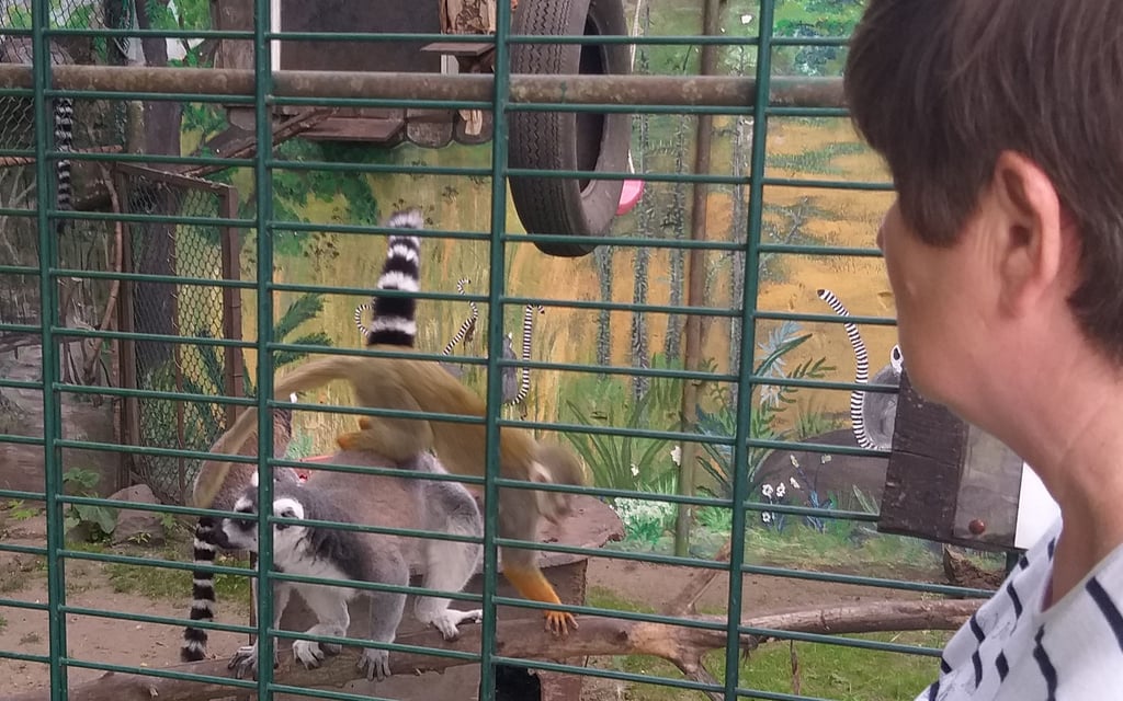 Ilona Kaßner in Magdeburg-Ottersleben schaut in das Gehege auf ihrem Hof mit den Affen.