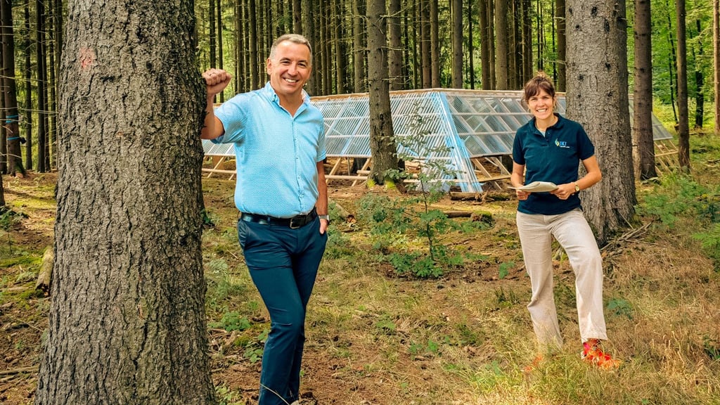Rico Fischer und Sophie Ehrhardt zeigen im Wald im Harz eine Versuchsfläche, an der Daten von Bäumen und aus der Umwelt erhoben werden. Für das sogenannte Survey-Projekt sollen weitere Waldreallabore entstehen.
