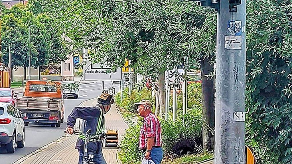 Bäume verdecken das Hinweisschild mit der Verkehrsführung an der Eislebener Straße.