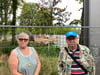 Dagmar Jürgens und Detlev Fritsch von der GWA Altstadt stehen vor der umgepflanzten jungen Zerreiche (im Hintergrund). Der Baum wurde durch Spenden von Magdeburgern finanziert und von der Stadt gepflanzt, zeigt am neuen Standort erste Anzeichen von Schwäche.
