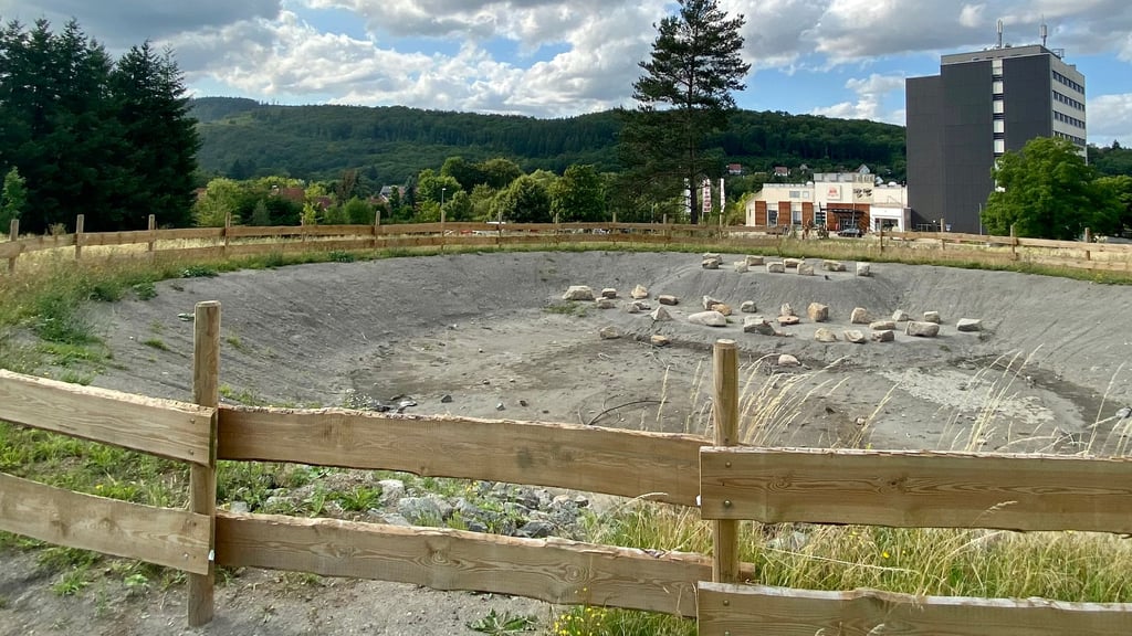 Der Krötenteich auf dem Gelände einer ehemaligen Kleingarten-Sparte in Wernigerode ist komplett leer.