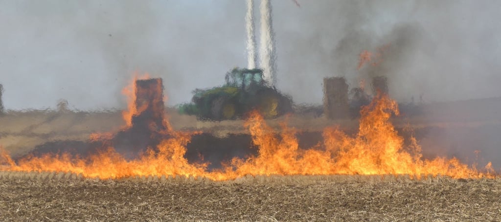 Beim Brand auf einem Feld bei Hedersleben blieb von einer Strohpesse nichts mehr übrig.