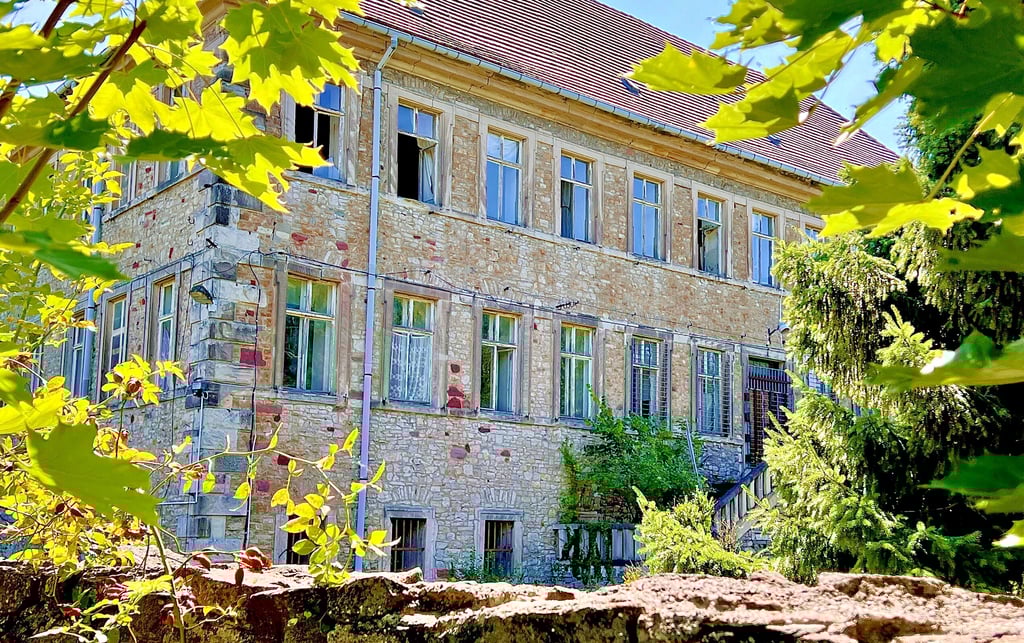 Das Schloss Trebnitz soll versteigert werden.