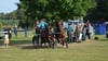 Egal wie viele Pferde oder Ponys vor eine Kutsche gespannt sind, die temporeichen Fahrten um die Hindernisse brauchen ein hohes Maß an Konzentration und Geschicklichkeit.