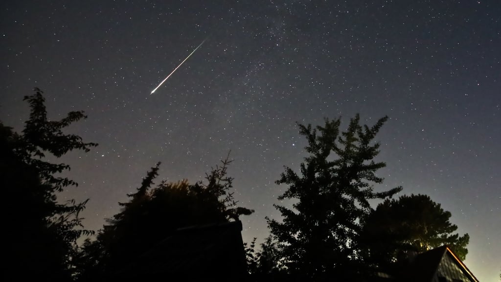 Im August gibt es viele Sternschnuppen zu sehen - die meisten in der Nacht auf Mittwoch (13. August).