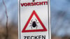 Zahl der Borreliose-Fälle deutlich höher als im Vorjahr (Symbolbild).
