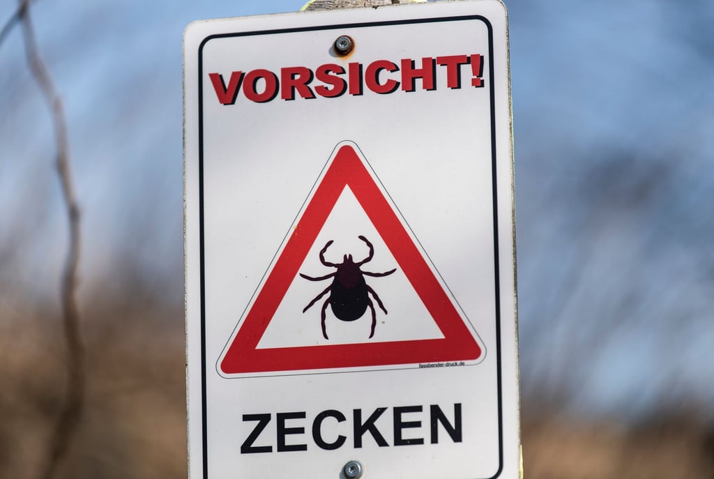Zahl der Borreliose-Fälle deutlich höher als im Vorjahr (Symbolbild).