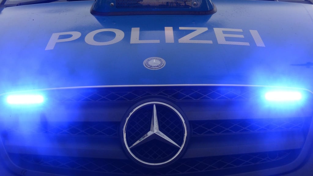 23-Jähriger aus Zschornewitz sorgt nahezu täglich für Polizeieinsätze.