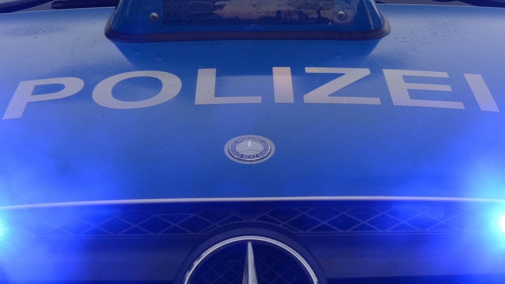 23-Jähriger aus Zschornewitz sorgt nahezu täglich für Polizeieinsätze.