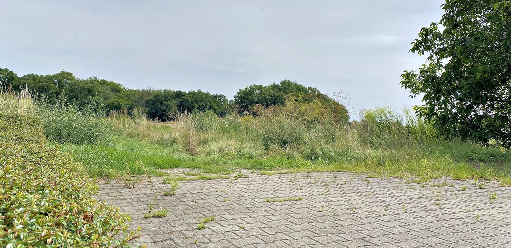 Die Baumeckerstraße endet als Sackgasse kurz vor der Liethe im Osten Staßfurts. Hier soll ein 20 mal 30 Meter großer Spielplatz entstehen.