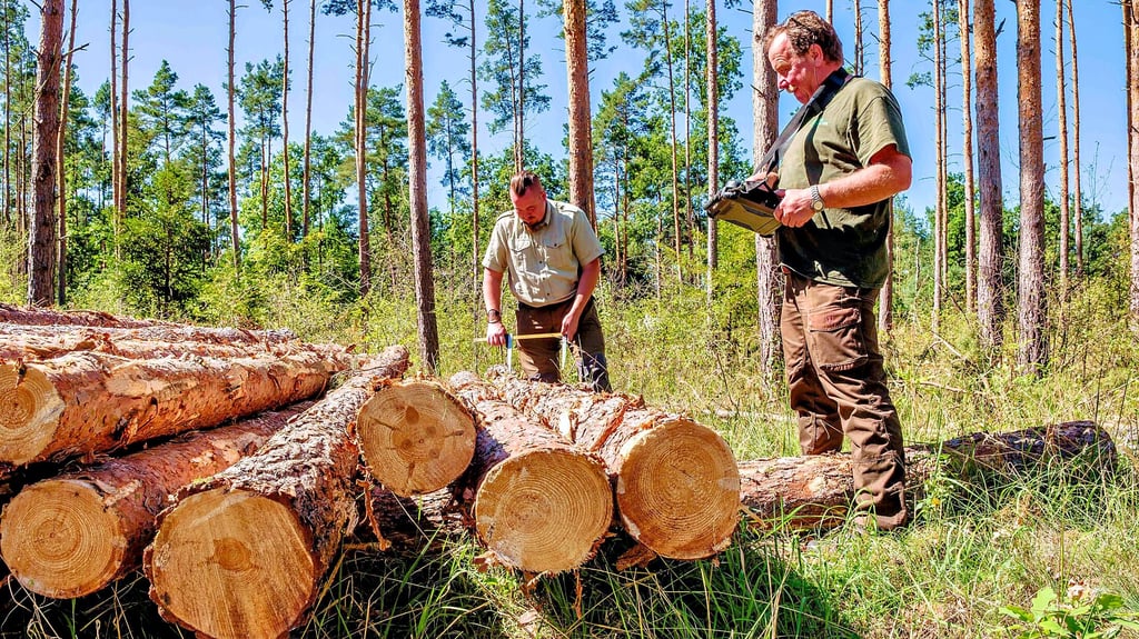 Henning Ulrich (re.) mit Christoph Schütze an einem Holzpolder im Wald bei Goltewitz