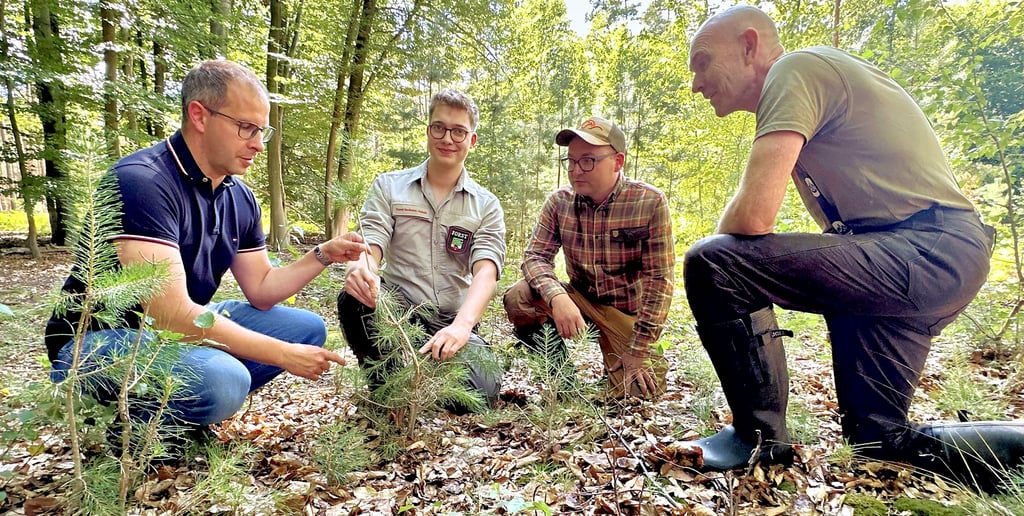Schäden durch Verbiss an Kiefern. Bürgermeister Philipp Stark im Gespräch mit Jannes Steinkamp, Constantin Jahn und Wolf-Peter Haake.