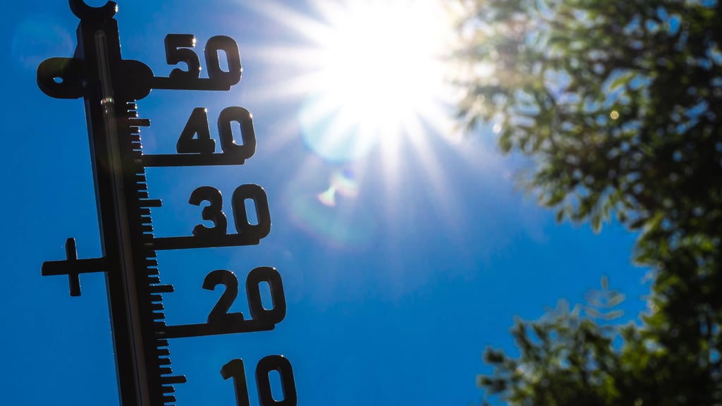 Hitze-Sommer in Sachsen-Anhalt: Das Wetter wird wieder sommerlich heiß.