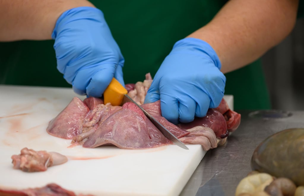 Die Landesuntersuchungsanstalt Sachsen nimmt regelmäßig Proben, um Lebensmittel und Tierkörper zu untersuchen.