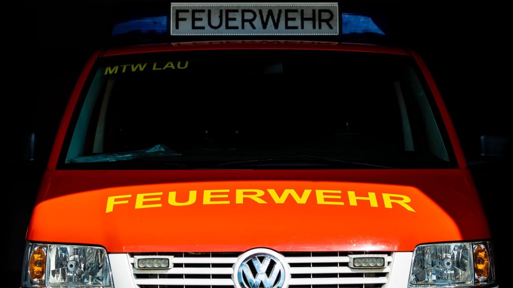 Die Feuerwehr war mit einem Fahrzeug und drei Einsatzkräften zu dem Kater gefahren. (Symbolbild)