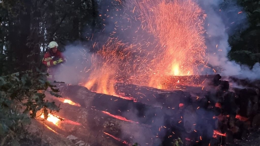 Etwa 100 Festmeter Holz standen am Mittwoch in Kühnau in Flammen.