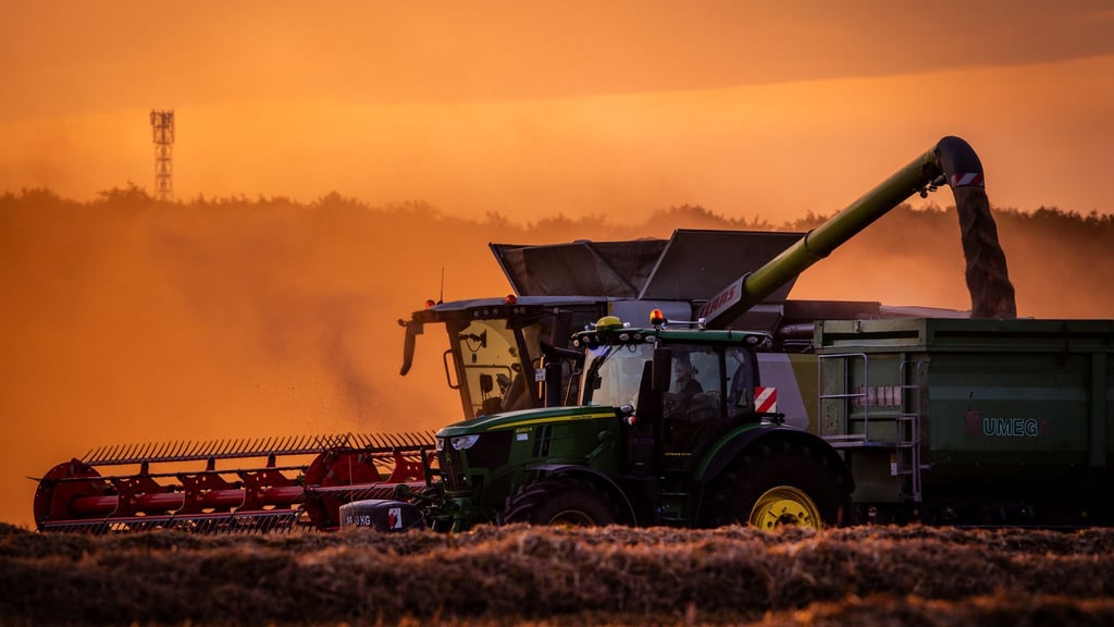 Die Bauern in Deutschland können mit der diesjährigen Getreideernte voraussichtlich zufrieden sein. (Archivbild)