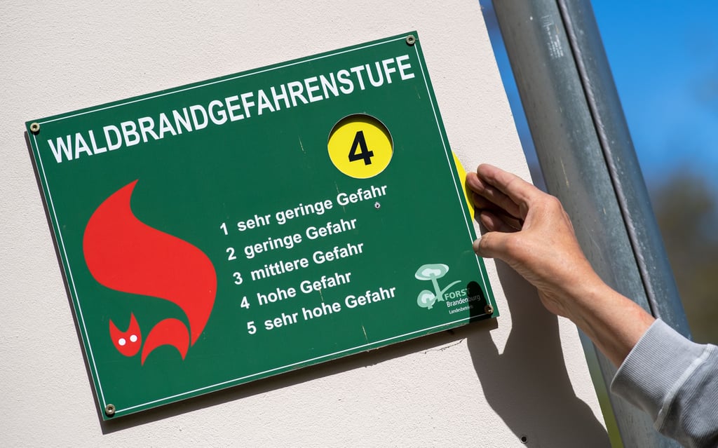 Ab Freitag gilt im Burgenlandkreis die Waldbrandgefahrenstufe 4.