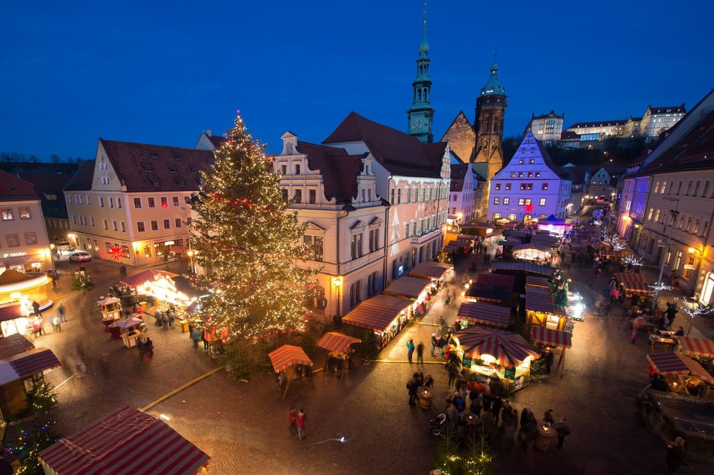 Für den Canalettomarkt in Pirna wird ein 12 bis 14 Meter hoher Baum gesucht. (Archivbild)