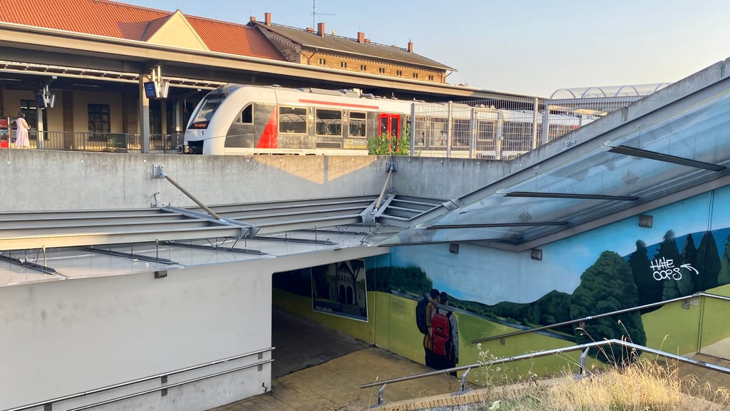 Wernigerodes Hauptbahnhof steht mal wieder in der Kritik: Reisende beklagen erneut Dreck, Schmierereien und Müll vor allem an einer Stelle des Geländes.