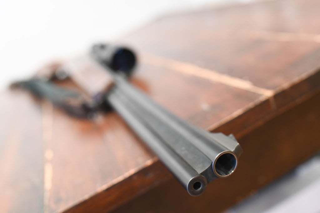 In Sachsen-Anhalt steigt die Zahl der registrierten Schusswaffen. (Symbolbild)