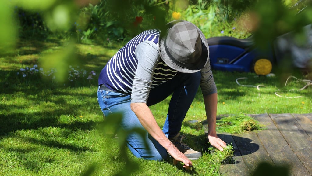 Schmutzige Kleidung nach der Gartenarbeit: hartnäckige Pflanzensäfte und Erdverschmutzungen am besten schnell behandeln.