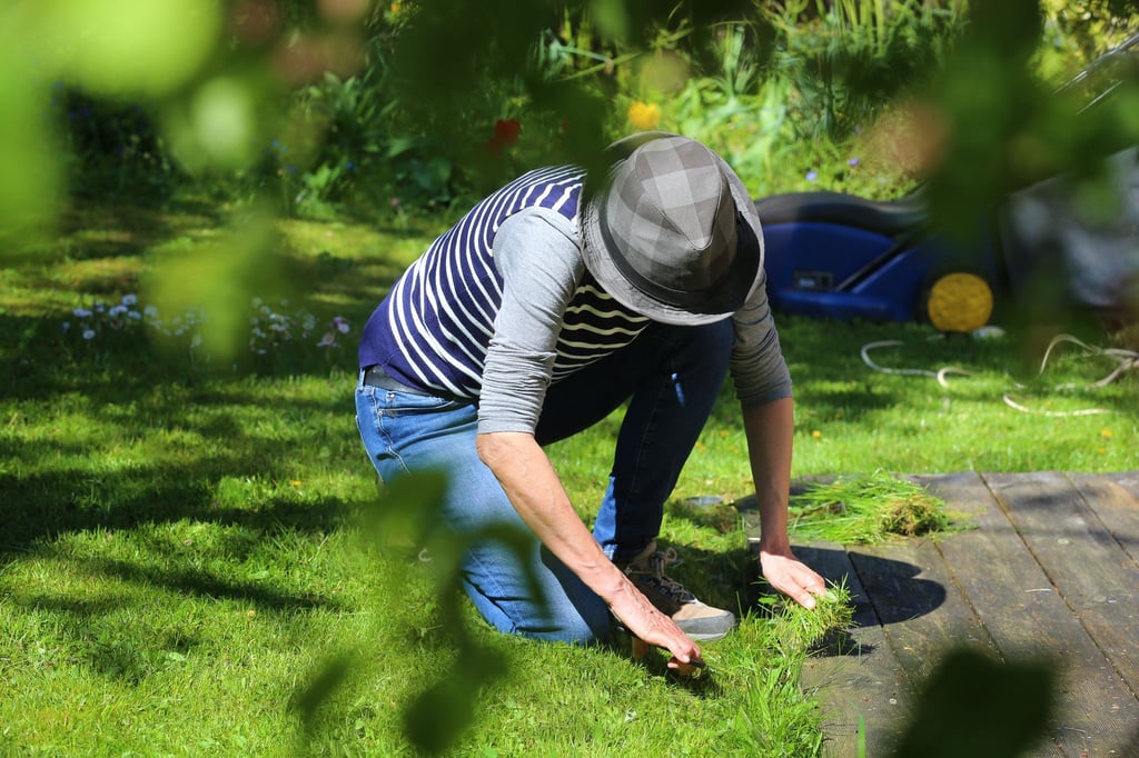 Schmutzige Kleidung nach der Gartenarbeit: hartnäckige Pflanzensäfte und Erdverschmutzungen am besten schnell behandeln.