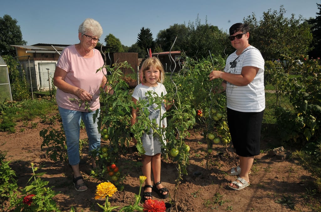 Beate Raback, Clara und Claudia Lustermann haben Spaß an der Gartenarbeit in der Kleingartenanlage „Goldene Aue“ in Roßla.