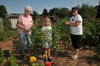 Beate Raback, Clara und Claudia Lustermann haben Spaß an der Gartenarbeit in der Kleingartenanlage „Goldene Aue“ in Roßla.