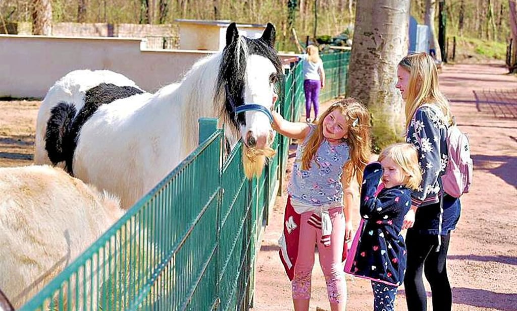 Tiere ganz nah und zum Anfassen: Das Konzept wird vom Tierpark Köthen gelebt.