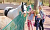 Tiere ganz nah und zum Anfassen: Das Konzept wird vom Tierpark Köthen gelebt.