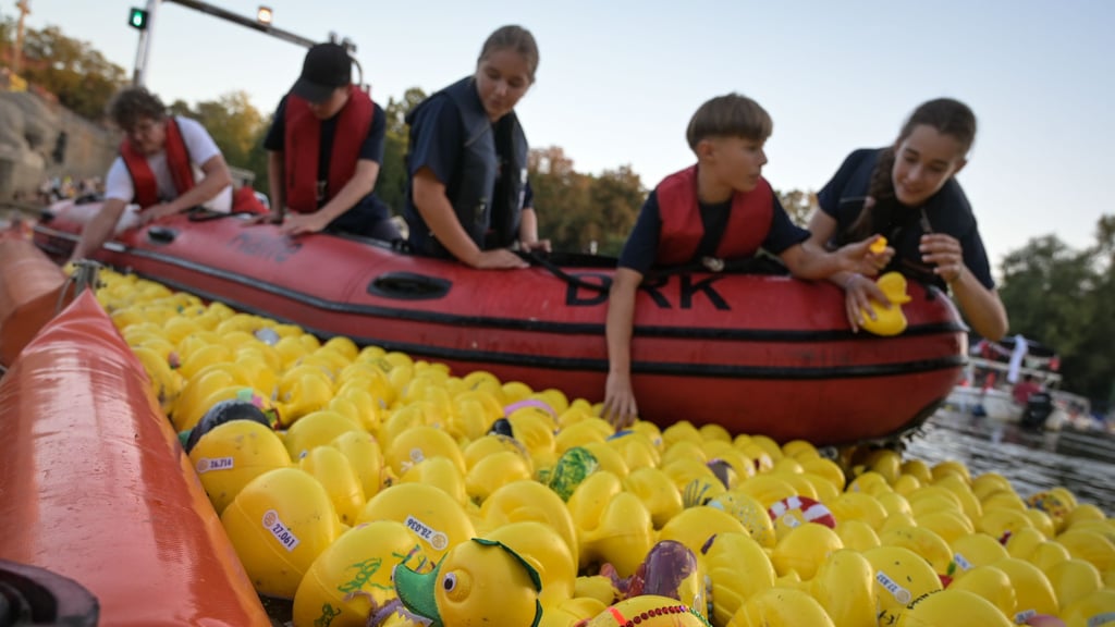 Auch 2025 wird beim Laternenfest in Halle wieder das Entenrennen veranstaltet – es ist eines der Highlights des Volksfestes.&nbsp;