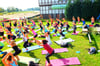 Hunderte Yoga-Fans versammeln sich seit Jahren beim Yoga-Festival in Magdeburg für gemeinsame Praxis unter freiem Himmel.