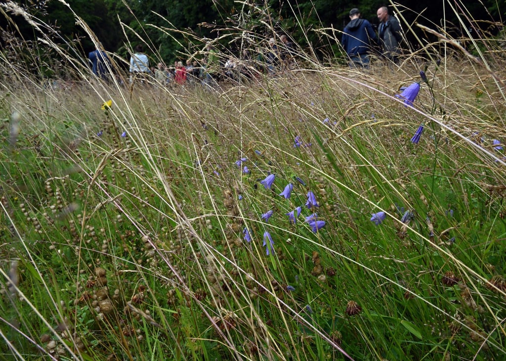 Naturschützer kritisieren Kürzungen durch das Umweltministerium. (Symbolbild)