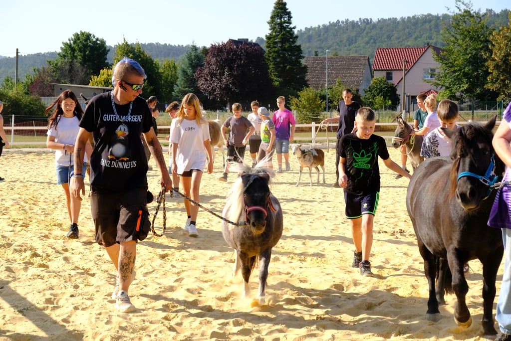 In einer kleinen Parade durften die Bebel-Schüler der 6b die Tiere des Erlebnisbauernhofs in Blankenburg über den Reitplatz führen.