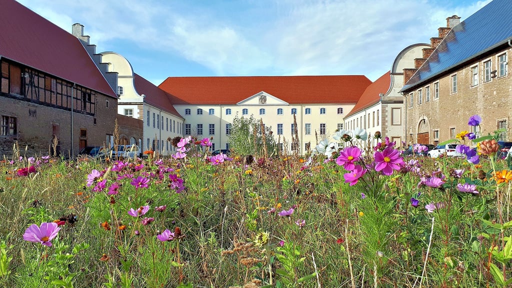 Am 22. August wird im Sonnenschloss Walbeck das Sommerfest gefeiert.